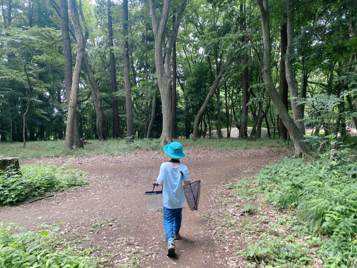 森の分かれ道。どっちにいこう？自由に進むのも探検の楽しさ(^^)