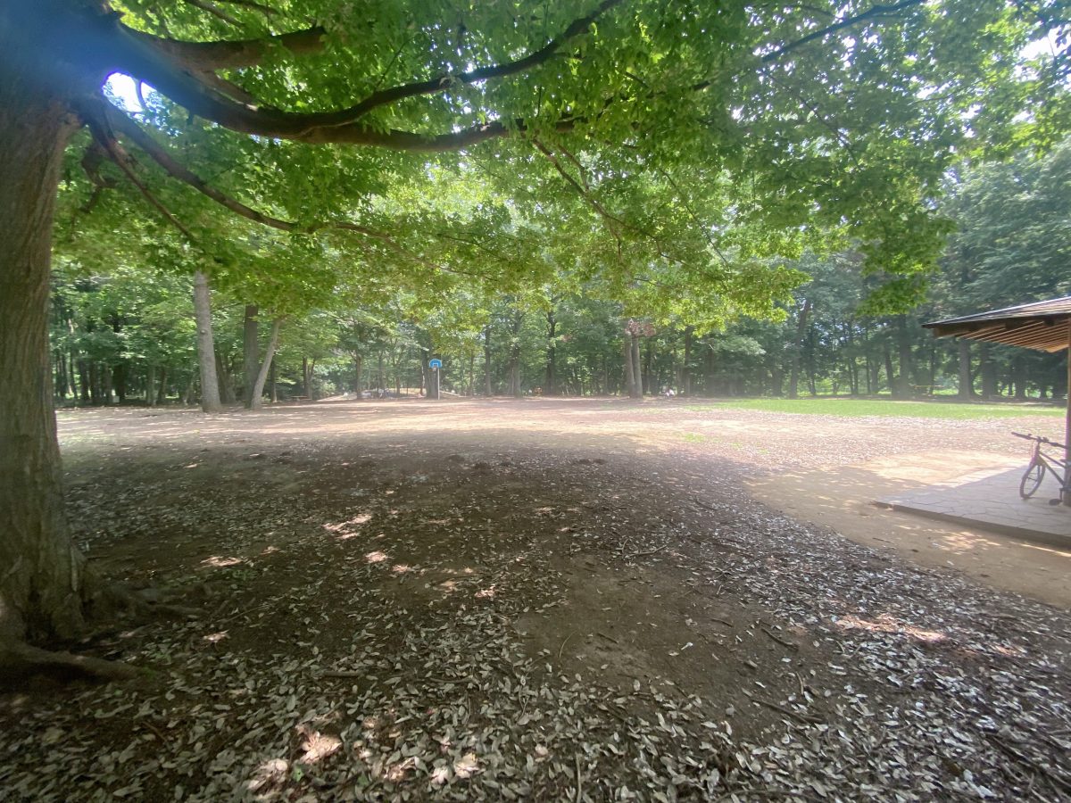 木陰がいっぱいだから、小さな子どもとのお出かけも安心(^^)