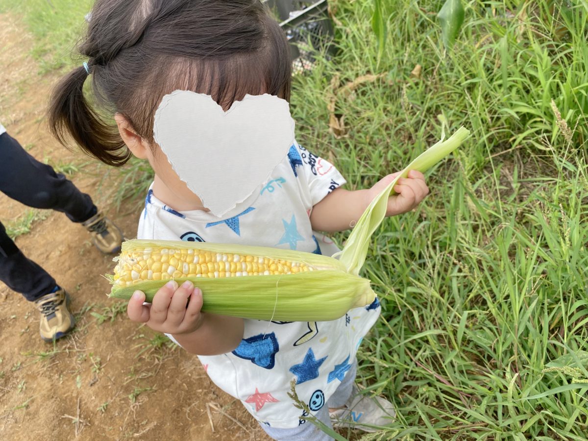 お兄ちゃんが収穫したとうもろこし、妹は皮むき担当♪ キラキラの黄色が見えた瞬間「わぁ〜！」って笑顔がこぼれる♡