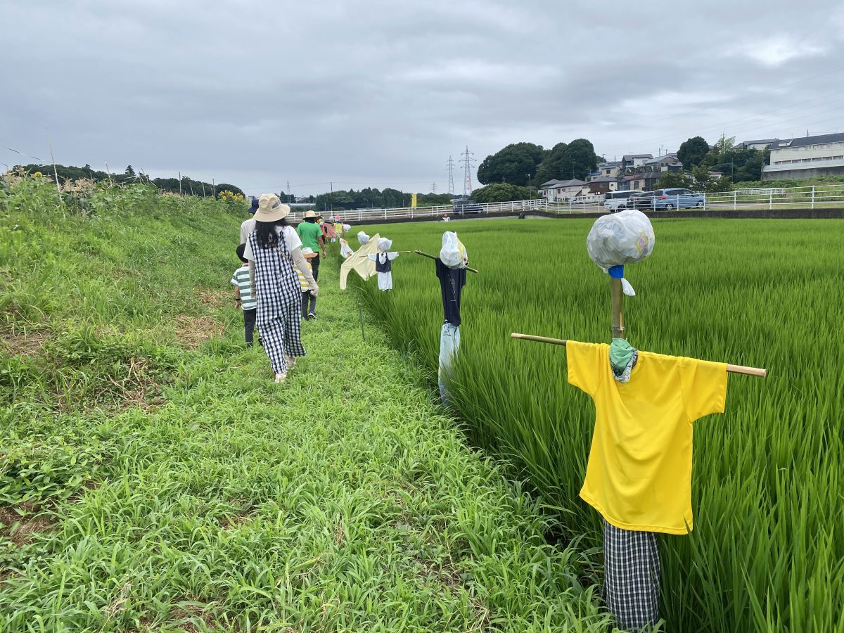  田んぼももちろん見学 ！ すくすくと伸びる稲の姿にほっとひと息〜わが家のかかし！「おこめまもるくん」も、しっかり田んぼを見守っていました！