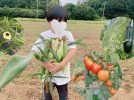 【流山市】田んぼの隣で畑の恵み！親子でとうもろこし狩りへ〜流山お田んぼクラブvol.4体験レポート〜