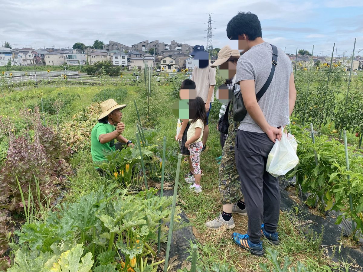 「この葉っぱな〜んだ？」クイズ形式でどんどん引き込まれる畑ツアー
