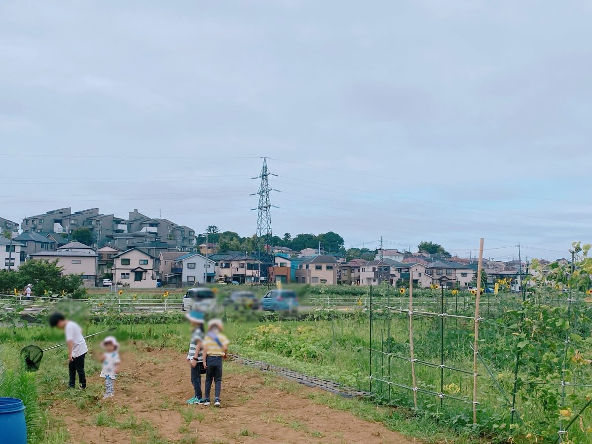 自然豊かな前ヶ崎の畑に立つと、ふとよみがえる懐かしい記憶〜 「昔、おばあちゃんの畑でインゲンとったなぁ…」 そんな気持ちとは裏腹に、子どもたちはわくわく全開でスタンバイ中！