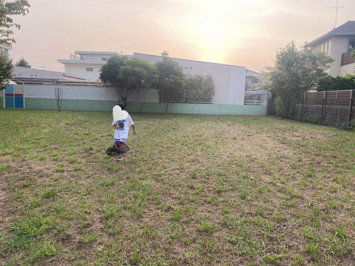 虫取り網を片手に、今日も公園探検隊！この日はバッタが大豊作◎