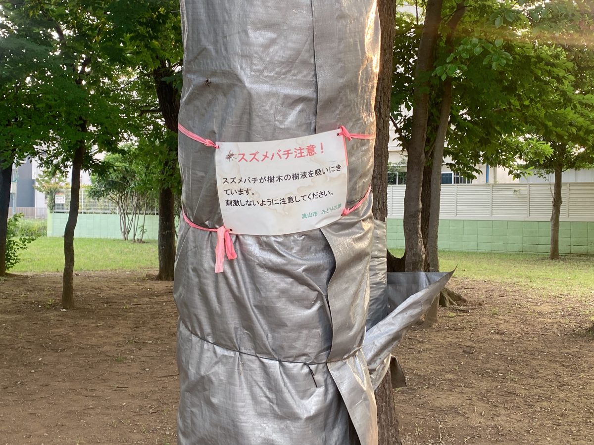 	「ハチに注意！自然の中だからこそ、安全に遊ぶためのルールも忘れずに」