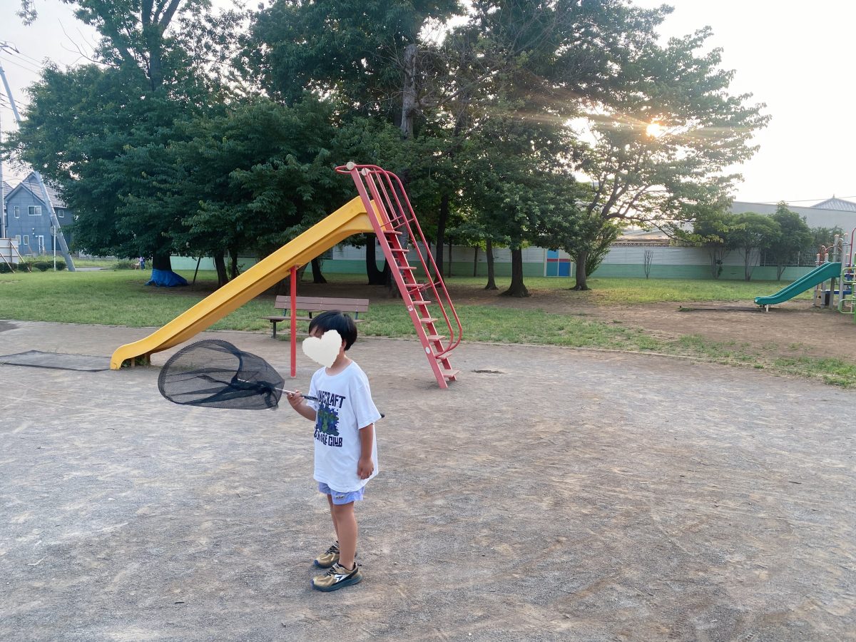 “こっちにもいるかも！”と夢中な息子(^^)虫とりって、子どもの探求心をくすぐる遊びですね