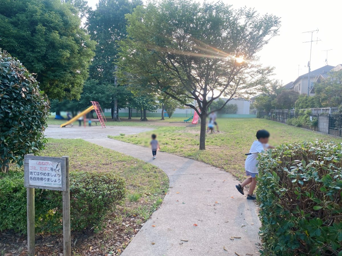 「何度来てもワクワク！歩きはじめの頃から、ずっとお世話になっているお気に入りの公園」夕日がキラキラ差し込む時間に到着♩