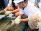【豊中市】初当選！生コン工場に潜入！20mの高さに挑戦＆ミキサー車・手形づくりも！小3息子レポ