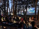 【我孫子市】北星照ラスのなつやすみ2025開催！親子で楽しむ“森の冒険”がここに