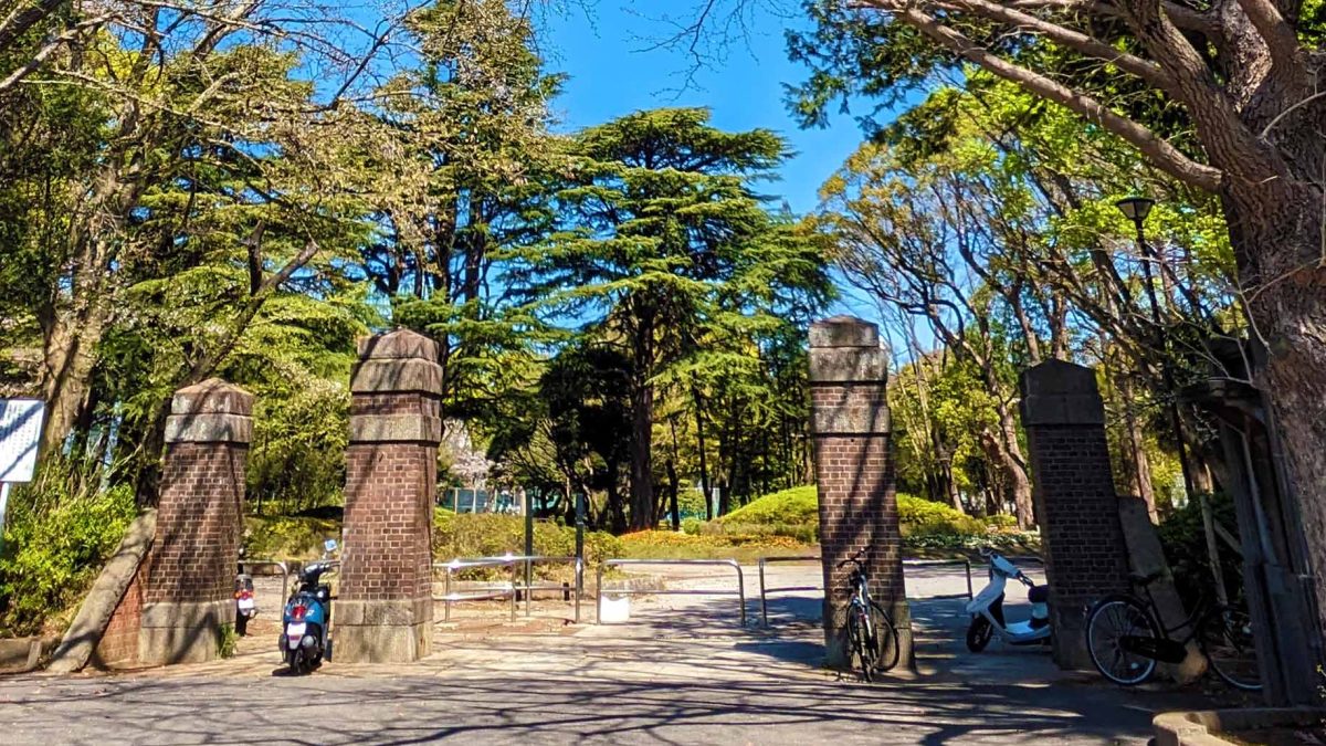 【松戸市】2025年8月30日(土),31日(日) 「松戸ラストサマーフェス＆盆踊り」開催！～街なかコスプレイベントも同時開催！～