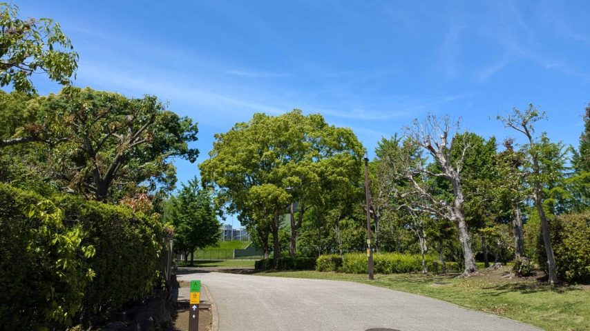 【柏市】2025年10月19日(日) 第17回柏の葉公園ウオーキングフェスタ開催！～解説有りの「柏の葉公園散策コース」もあります！