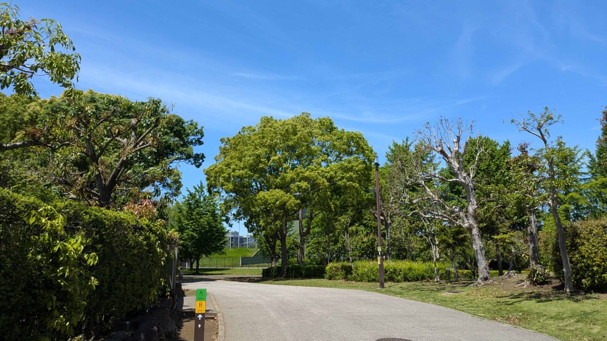 【柏市】2025年10月19日(日) 第17回柏の葉公園ウオーキングフェスタ開催！～解説有りの「柏の葉公園散策コース」もあります！