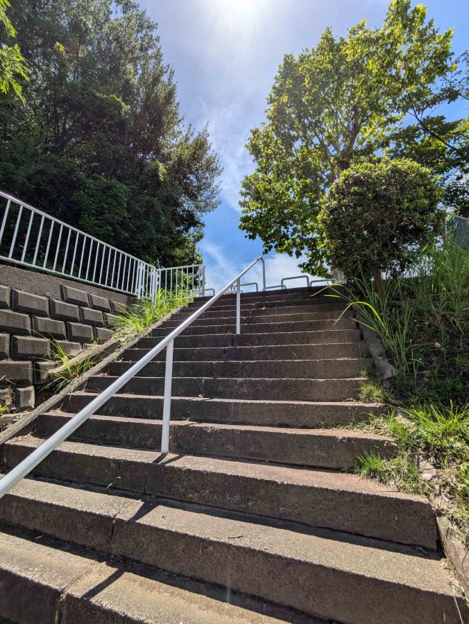北側からは階段を下って公園へ