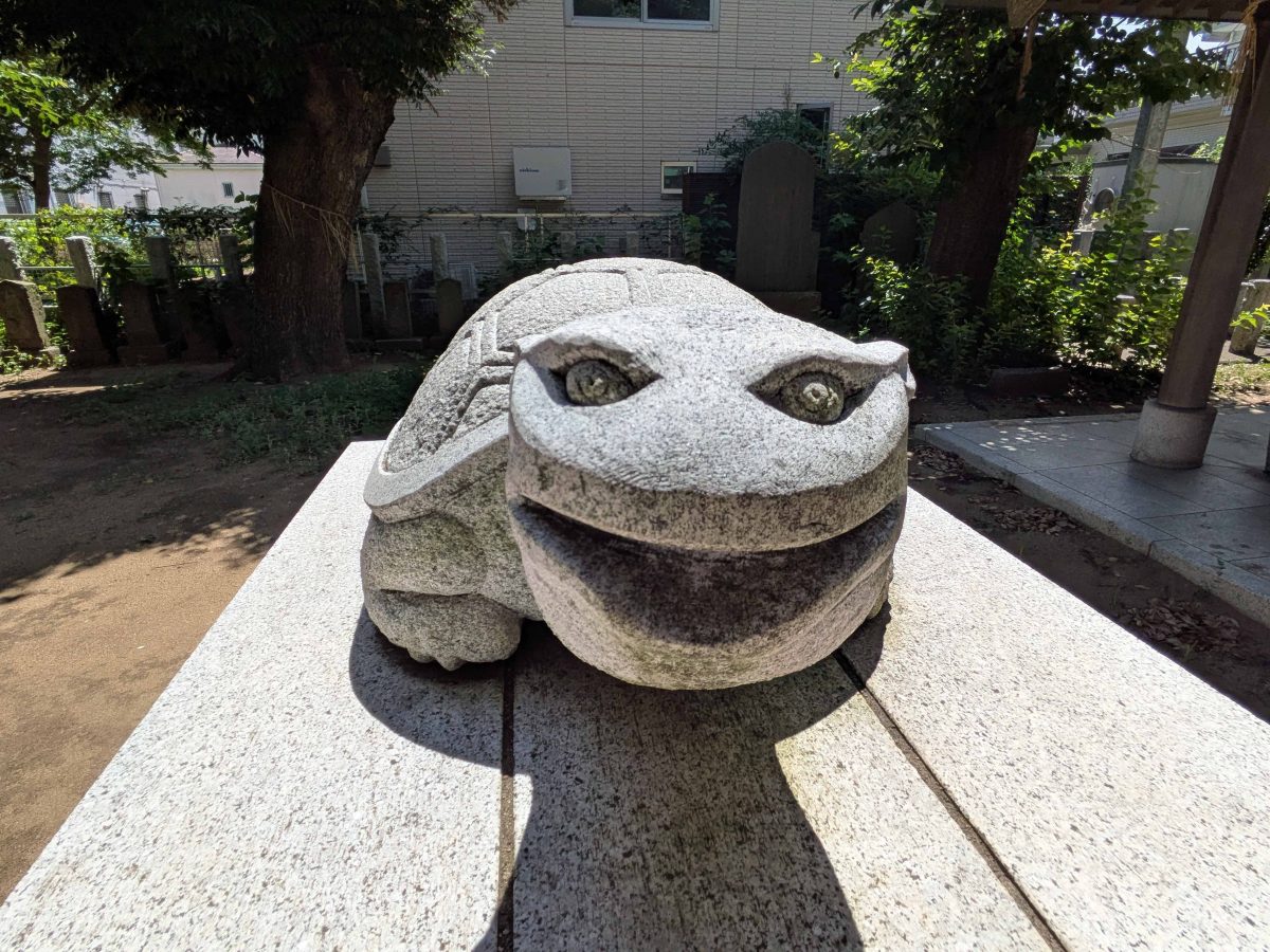 インパクトのある狛亀