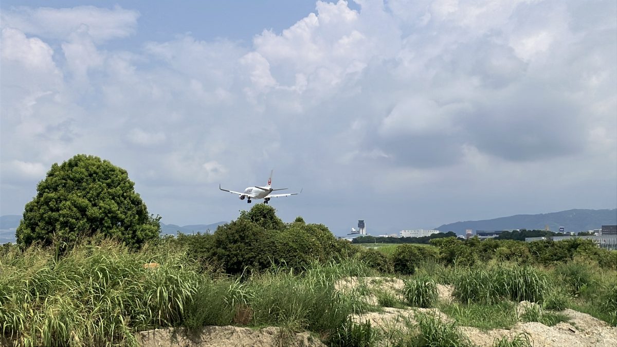 どれだけでも撮影したくなる飛行機！