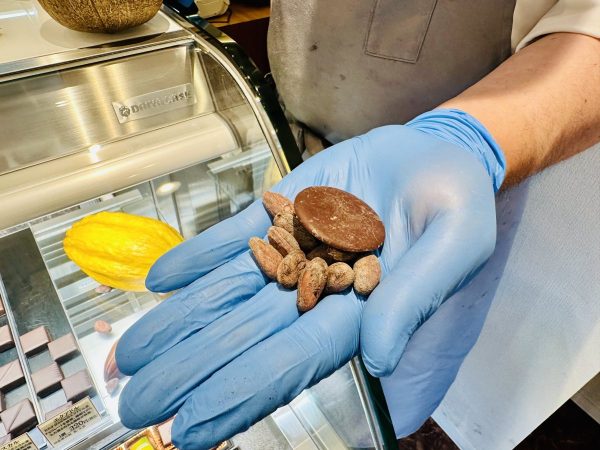 チョコレートカカオ豆