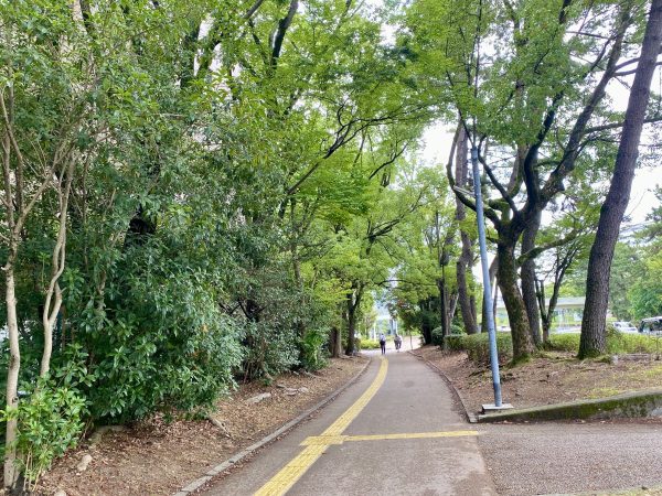 駅周辺遊歩道