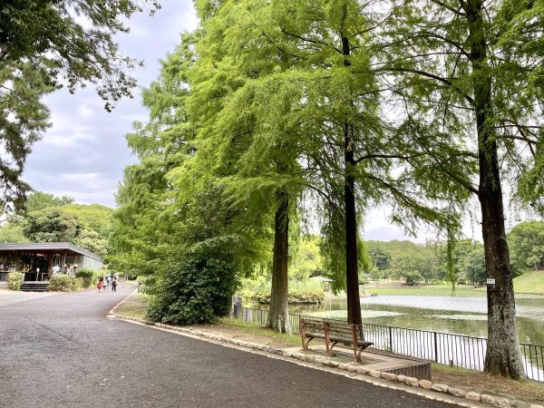 南公園