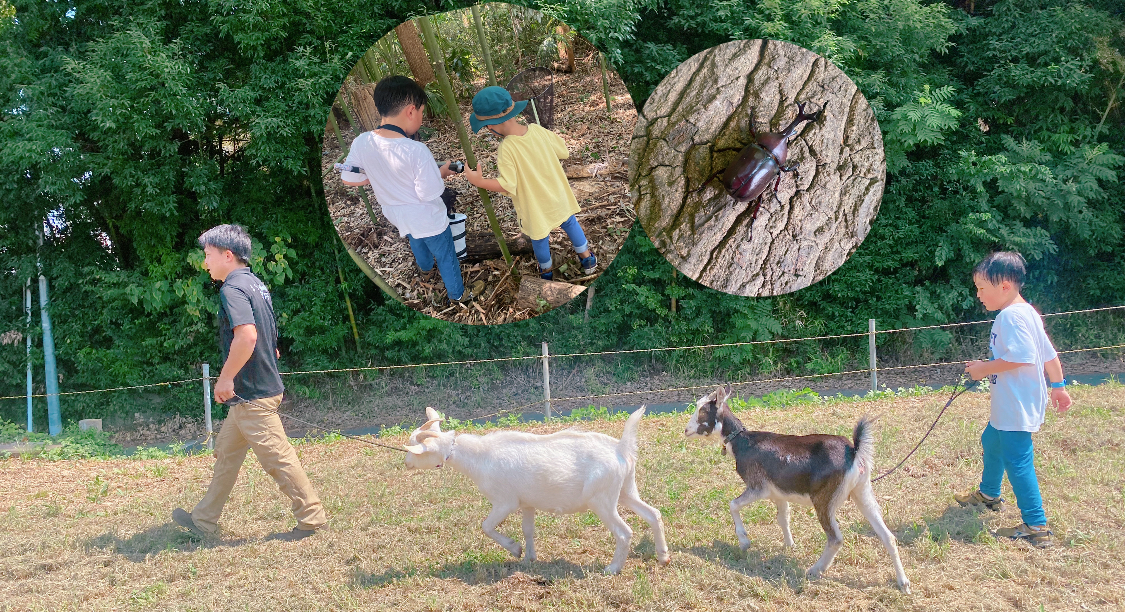 【流山市】地域密着！流山発『週末限定 動物園』がオープン？！ 〜第1回イベントはカブトムシとり！参加レポート〜