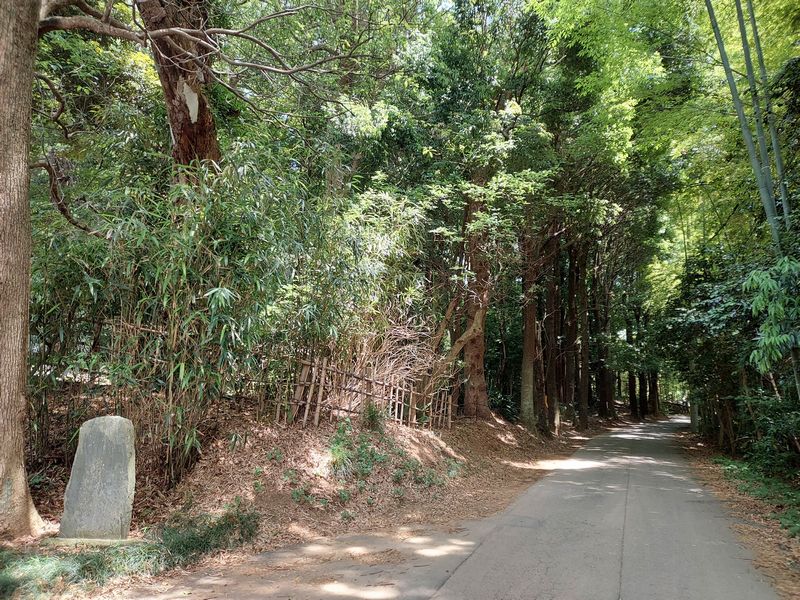 中世近世の佇まいが残る染谷家住宅前の小道。「トトロの森みたい！」という子どもたちの声も…。