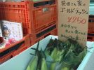 【豊中市】甘くて新鮮！淡路島＆泉州の旬野菜が並ぶ「産地直送マルシェ」8月も毎週土曜開催＠豊恋想 千里園