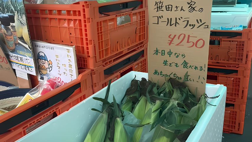 【豊中市】甘くて新鮮！淡路島＆泉州の旬野菜が並ぶ「産地直送マルシェ」8月も毎週土曜開催＠豊恋想 千里園