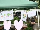 【柏市】無料イベント　申込受付中　9/28（日）10時～「花と葉でたたきぞめ」