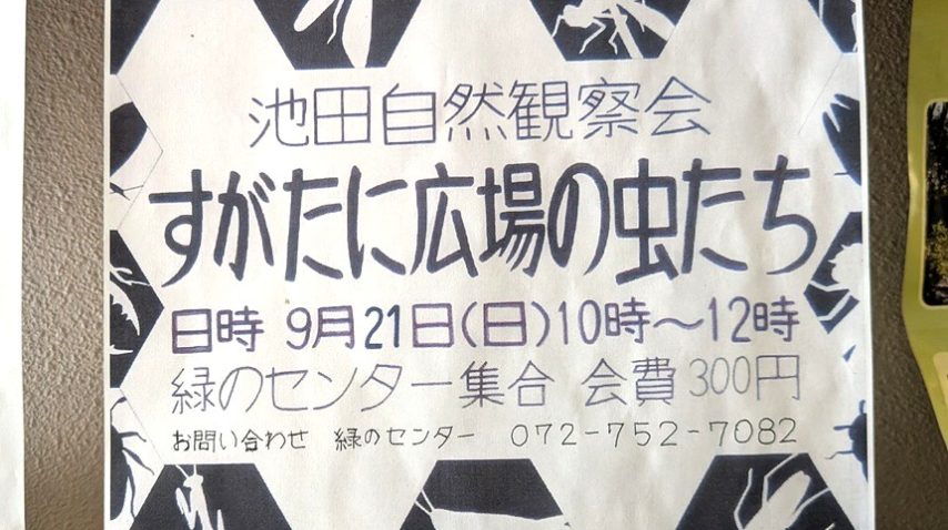 【池田市】9月21日（日）開催「池田自然観察会　すがたに広場の虫たち」　身近な自然に住む虫たちの日常を垣間見よう！