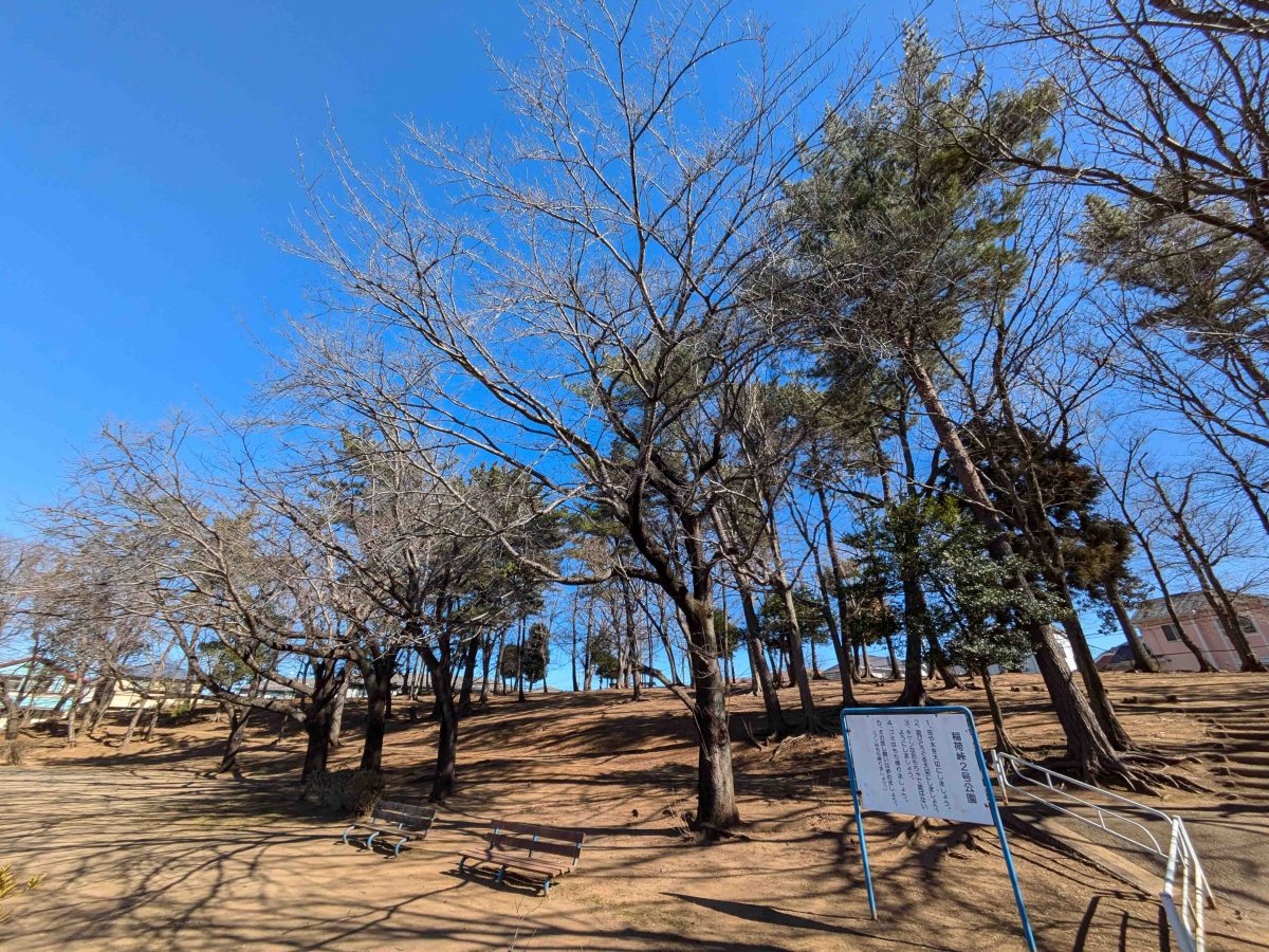 高低差のある稲荷峠２号公園