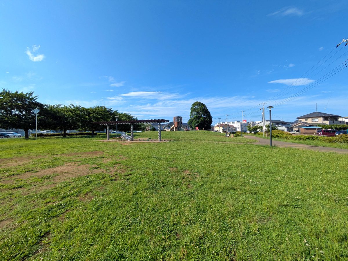 広々とした新鎌ふれあい公園