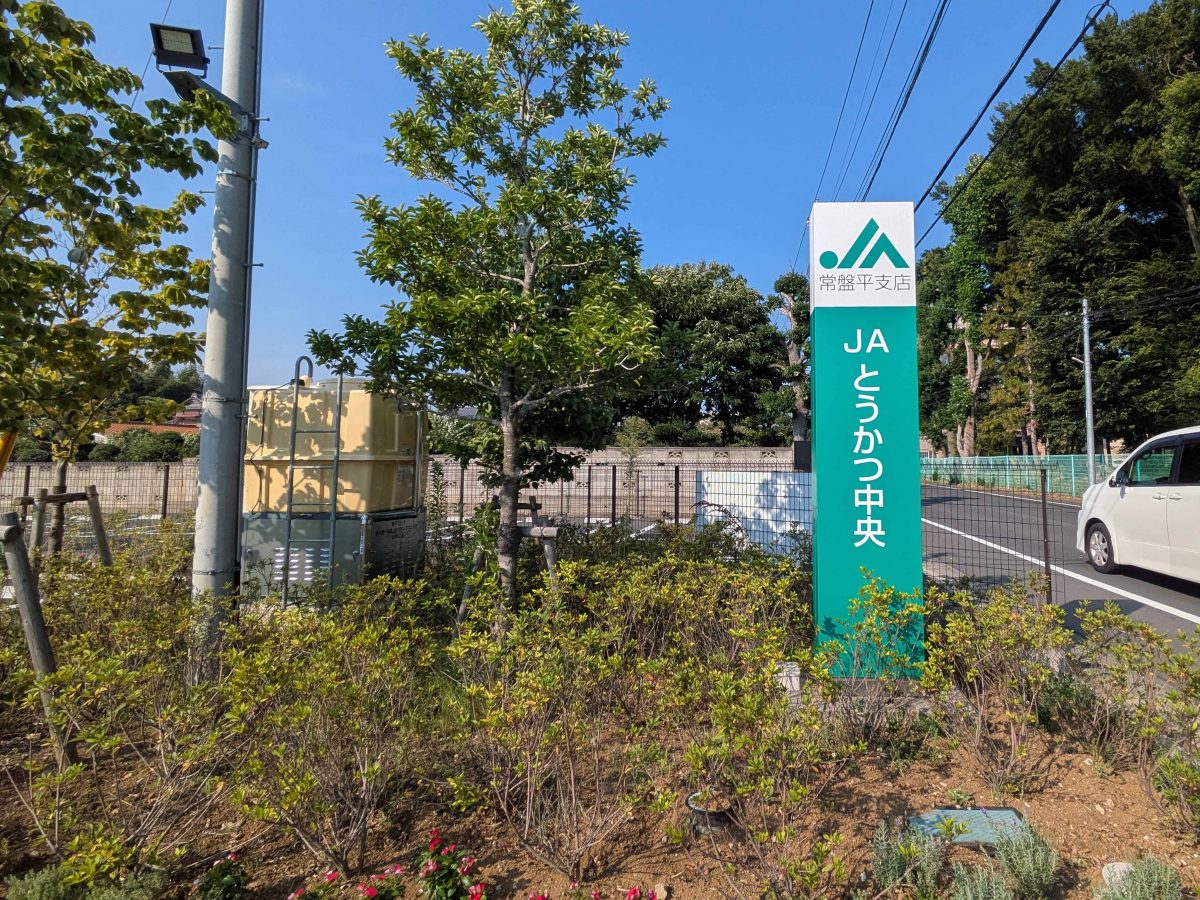 県道51号市川柏線沿いにあります。