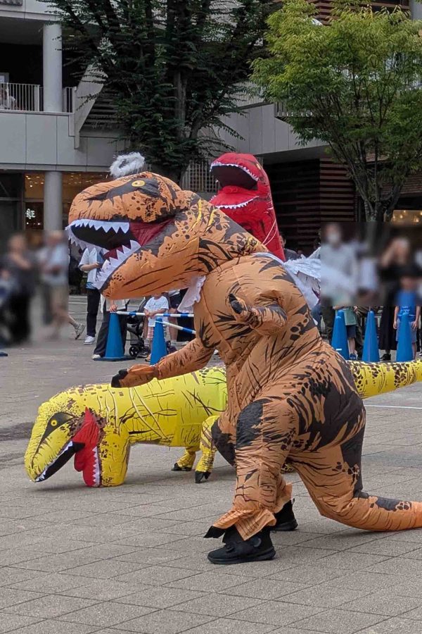 ほんとに転んだ