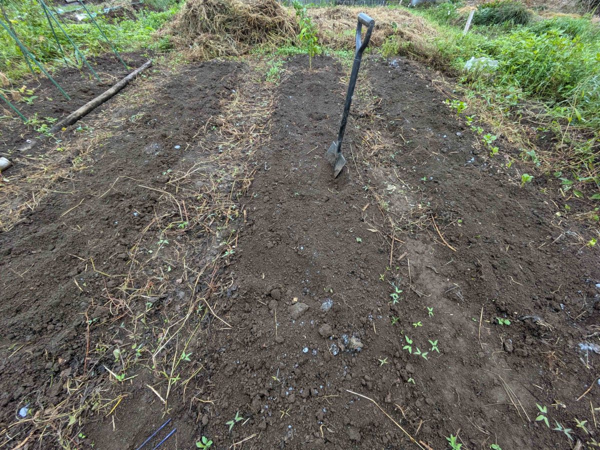 秋植えに向け整備中の区画