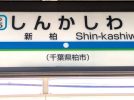 【柏市】柏市全域巡りvol.56 新柏～新柏駅の東側、さくら並木の南北に広がる町域～
