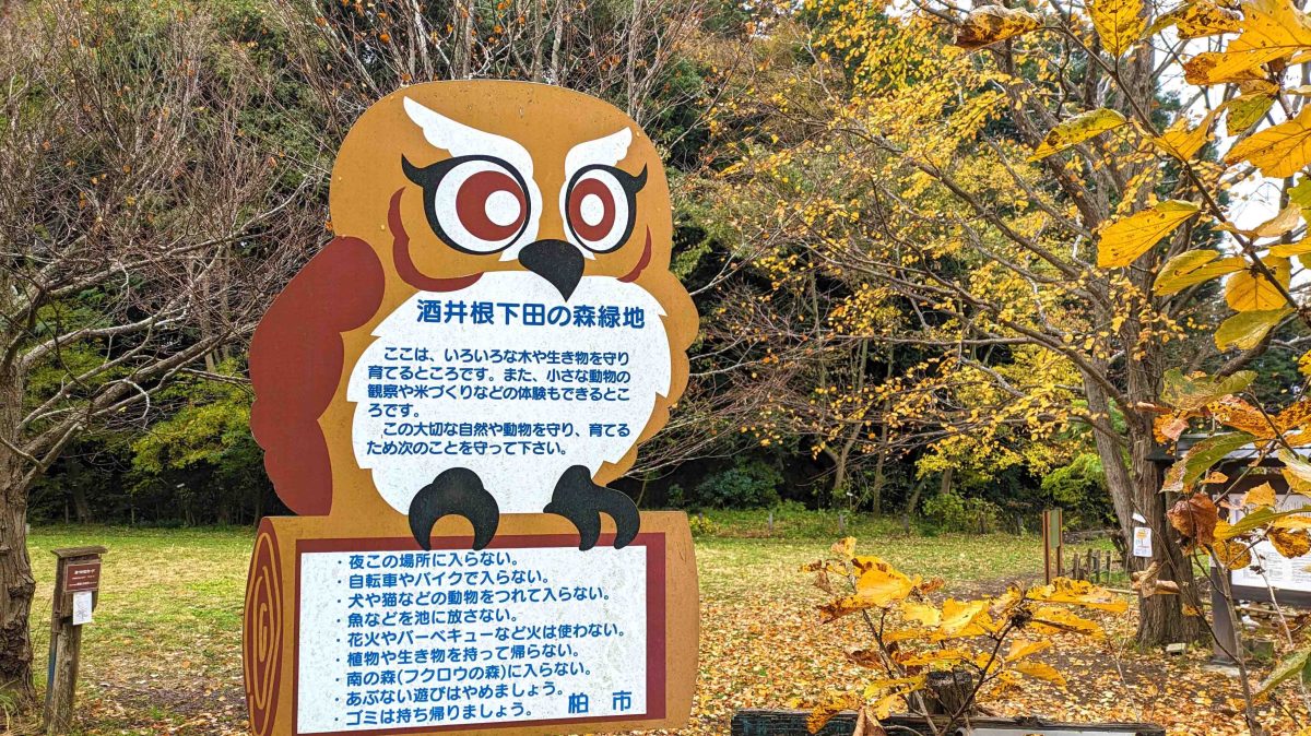 【柏市】柏市全域巡りvol.48 酒井根～柏市の南西部、自然共生サイト認定「下田の杜」のあるエリア～