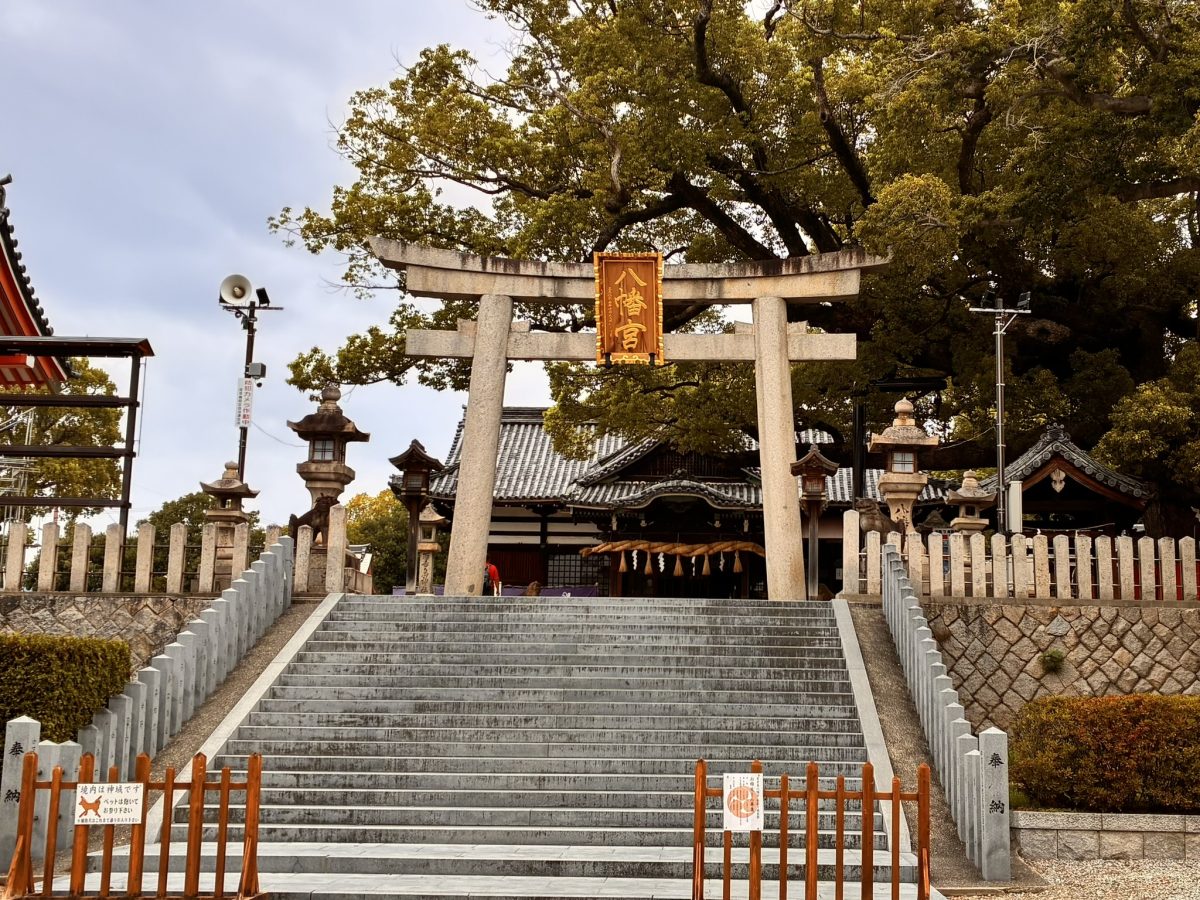 【百舌鳥八幡】2025年の月見祭は10月4日(土)・5日(日)！秋祭りふとん太鼓奉納行事を見に行こう
