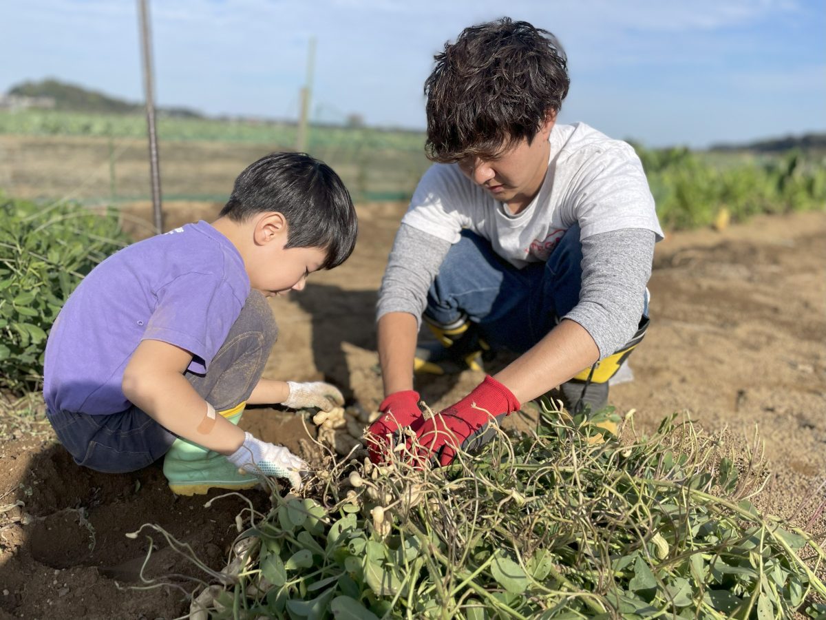 収穫体験の様子