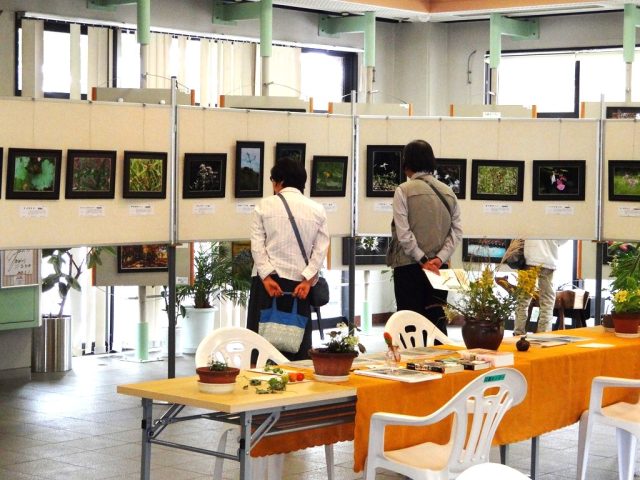 【柏市】10月24日(金)～28日(火)　写真展「こんな素敵な野草たち」が開催されます！