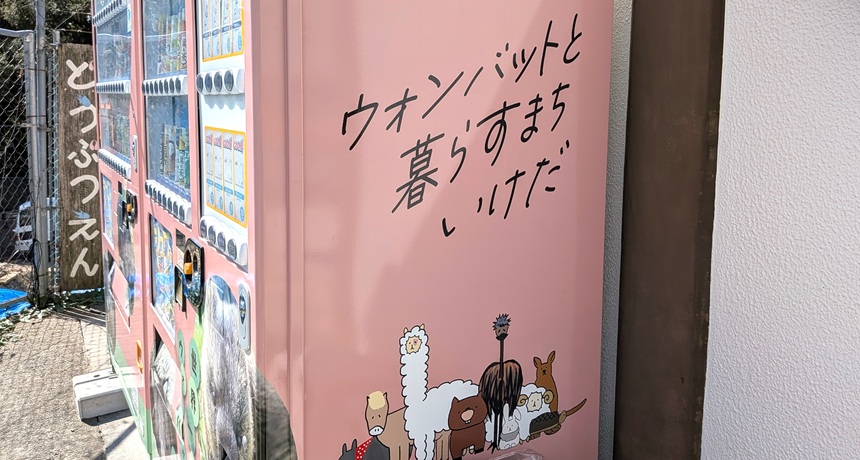 【池田市】10月19日（日）開催「ウォンバットの日 2025」　ウォンバット愛あふれる人々とともに買って食べて楽しめる日なんだって