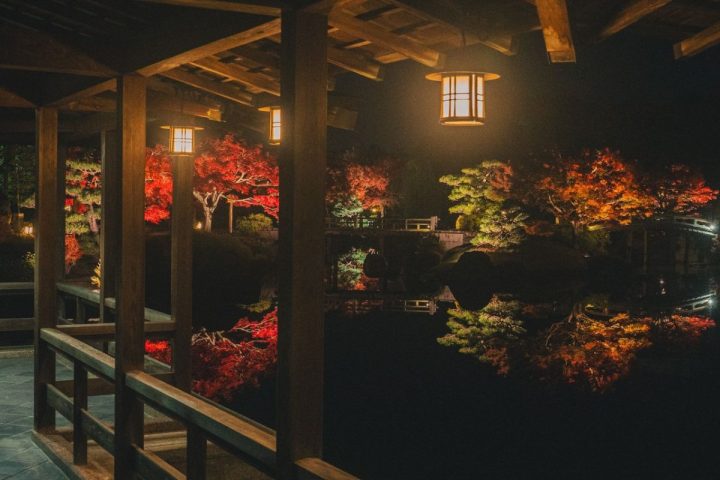 【百舌鳥】大仙公園・日本庭園で秋季夜間特別開園『紅葉の灯り』！11月15日（土）などに開催