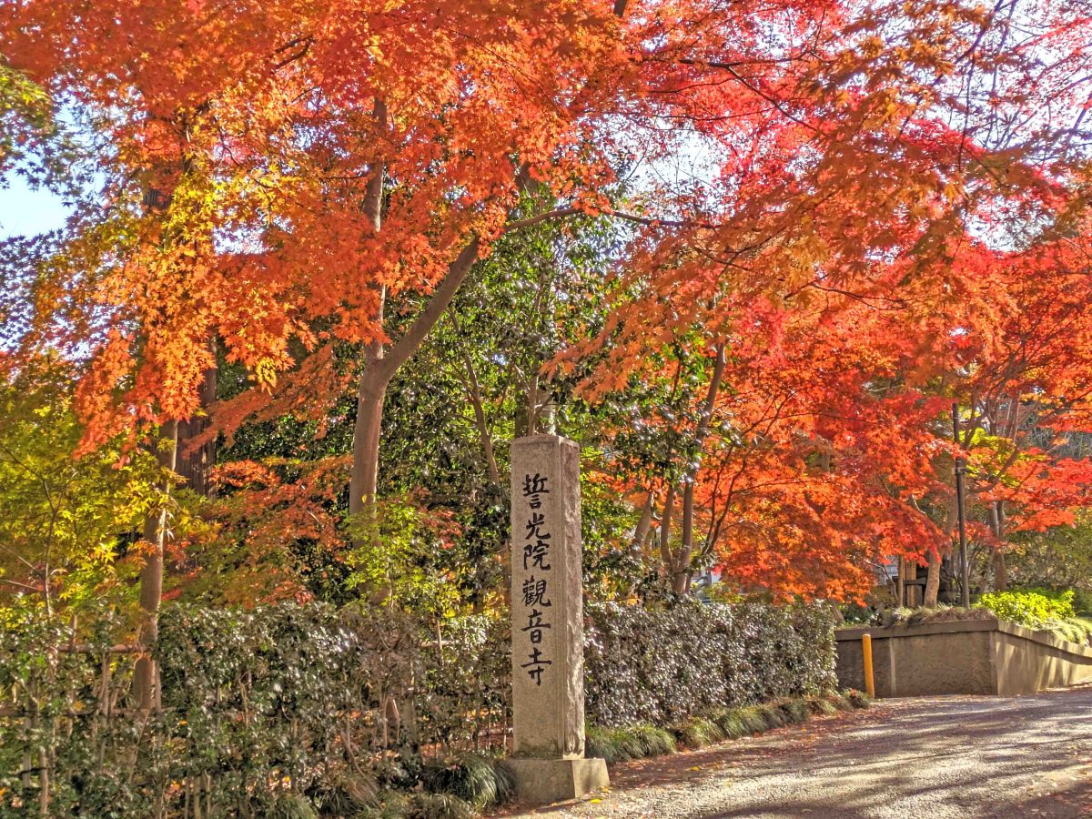 観音寺