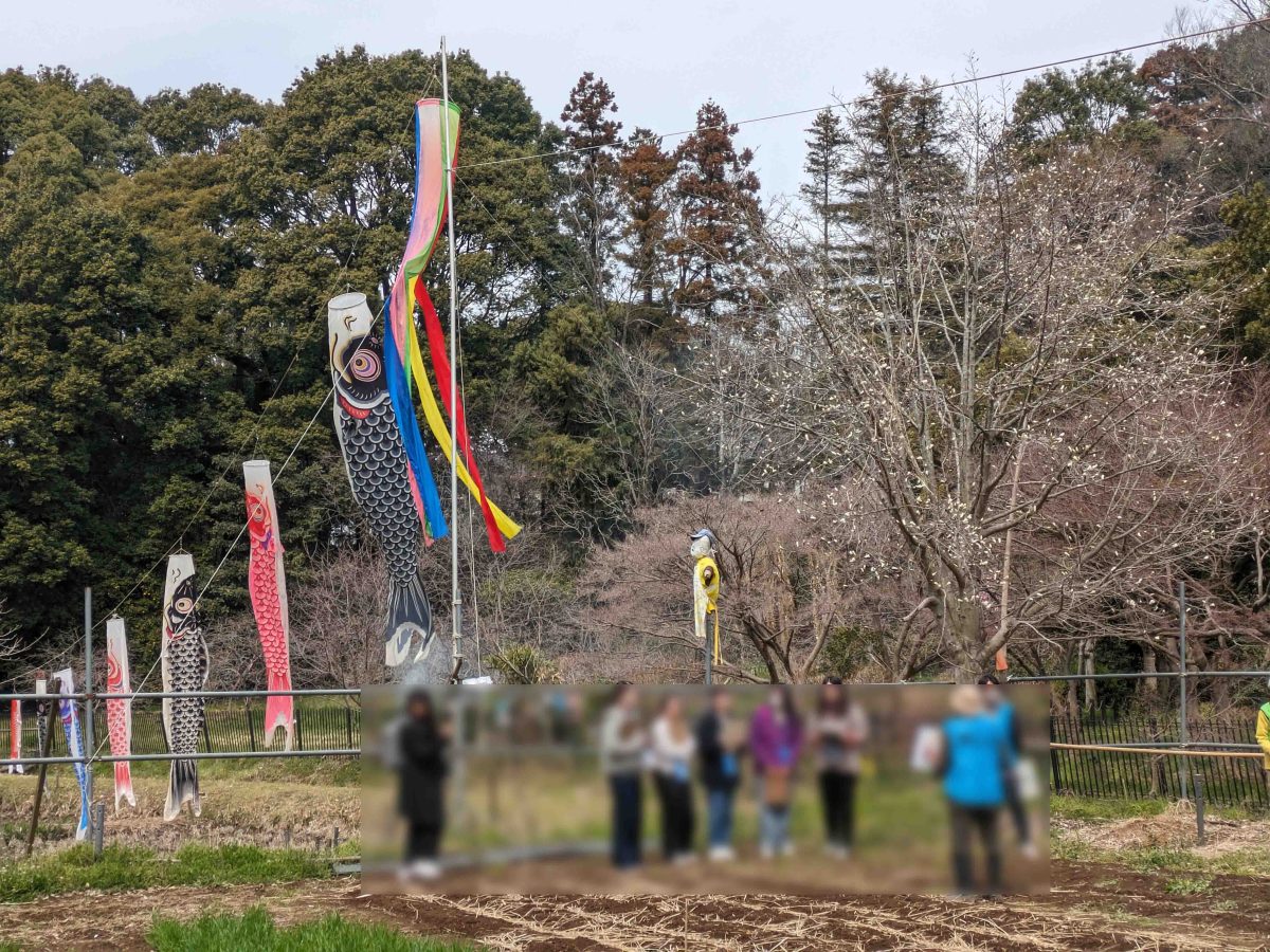 体験学習が行われていました。
