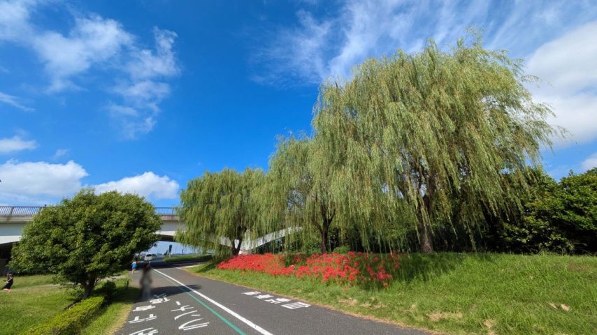 【柏市】2025年10月18日(土) 第20回 全国造園フェスティバル開催！～花と緑で美しい日本を～＠手賀大橋下