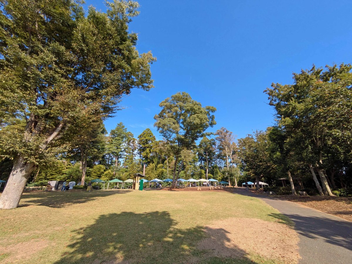 流山市総合運動公園