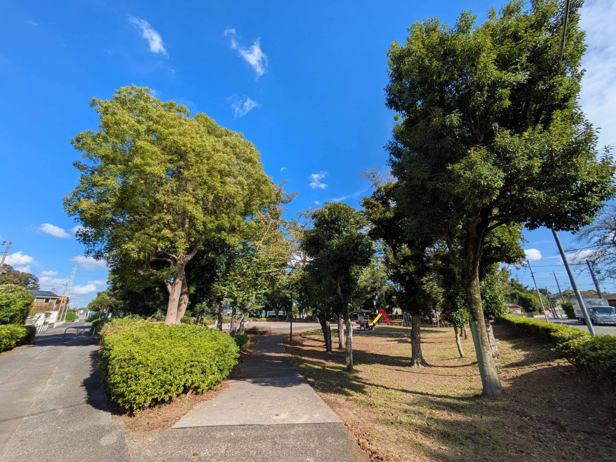 町域の南西部にある青風公園。常磐自動車道の上にあります。