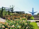 【吹田市】万博記念公園で「秋のローズフェスタ」が10月25日（土）から開催！
