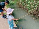 【松戸市】気づけばパパが一番本気？！親子で楽しむ「根木内歴史公園」でザリガニ釣り