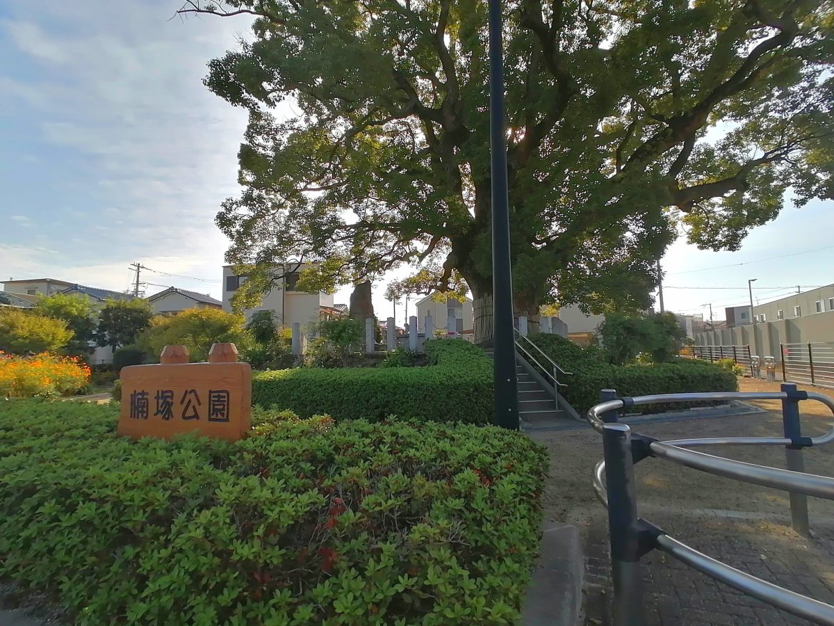 【堺市北区】堺のパワースポット!? 樹高約18 mのクスノキと光差すパンダがたたずむ公園【長曽根楠塚公園】