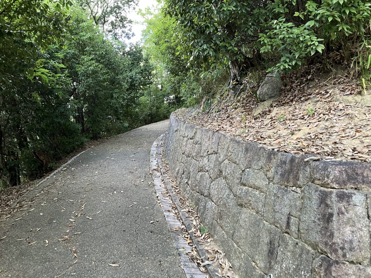 坂道は2人横に並ぶのがちょうどくらいの狭い幅でちょっとした登山のようでした。頂上には石碑が立っていて、そこをくるっと回って降りていくコースになっていました。