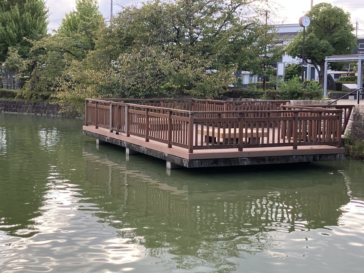 池の上に張り出した木製デッキに行くと風が心地よかったです。池を覗くと、亀や鯉が近くに見えました。遊歩道には桜の木も多く植えられていたので、これからの季節は紅葉も楽しめそうです。ゆったりと散策しながら秋を楽しんではいかがでしょうか？